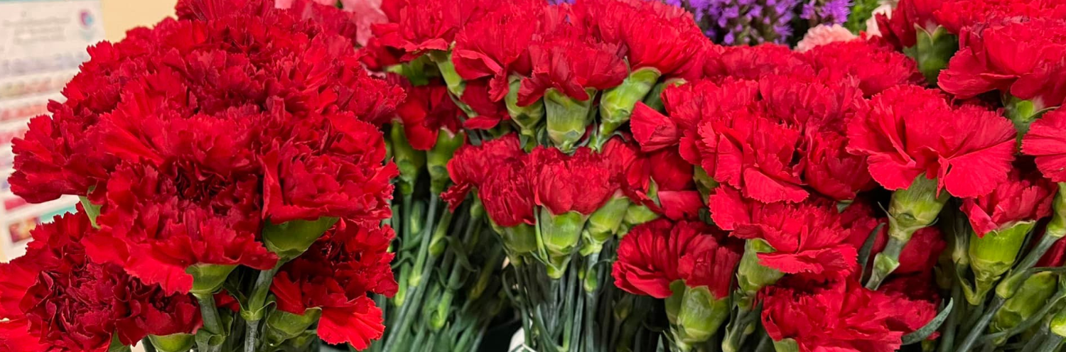 stunning red florals 
